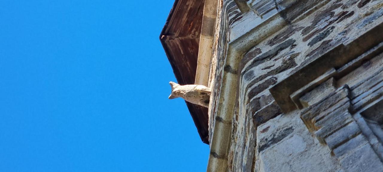 Maison Au Loup - Superbe Ancien Hotel Particulier Du Xvie Siecle Au Coeur De La Vieille Ville Du Puy Le Puy-en-Velay Zewnętrze zdjęcie